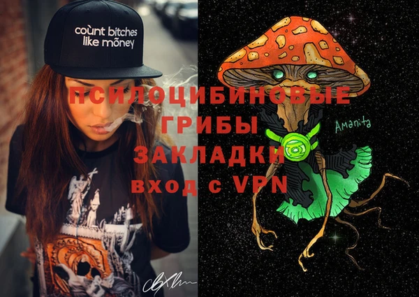 тгк Данков