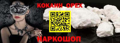 спиды Гай