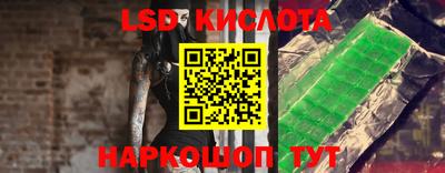 спиды Гай