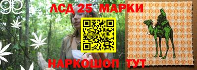 мяу мяу мука Гагарин