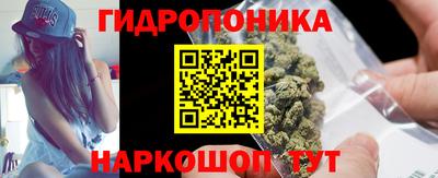 спиды Гай
