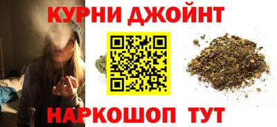 спиды Гай