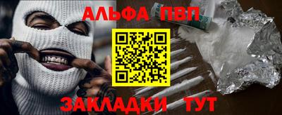 спиды Гай