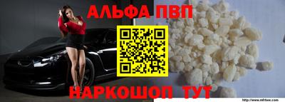 спиды Гай