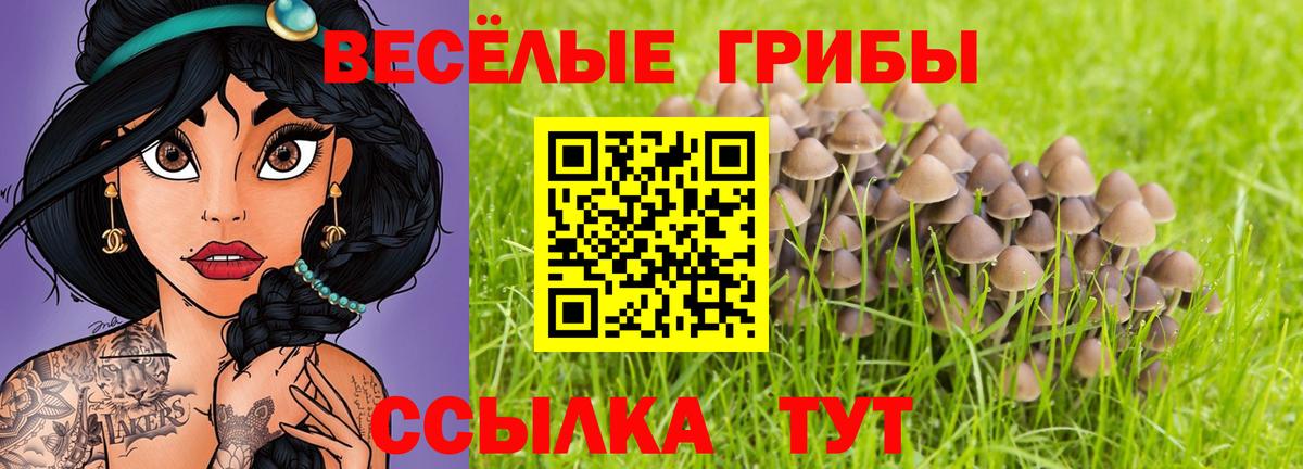 Киржач  Галлюциногенные грибы мухоморы  Вход с VPN  Псилоцибиновые грибы Cubensis 